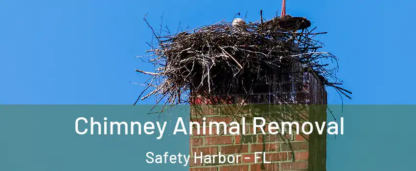  Chimney Animal Removal Safety Harbor - FL