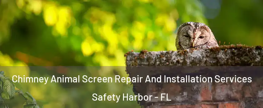  Chimney Animal Screen Repair And Installation Services Safety Harbor - FL