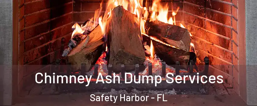  Chimney Ash Dump Services Safety Harbor - FL