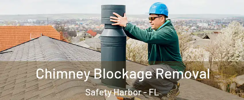  Chimney Blockage Removal Safety Harbor - FL