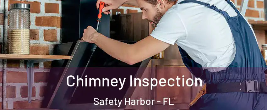  Chimney Inspection Safety Harbor - FL