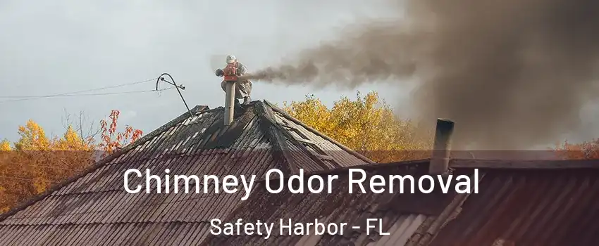  Chimney Odor Removal Safety Harbor - FL