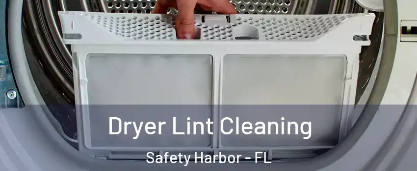  Dryer Lint Cleaning Safety Harbor - FL