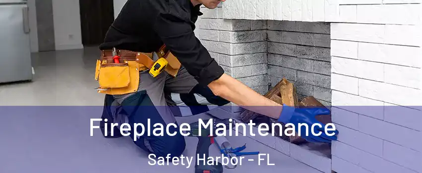  Fireplace Maintenance Safety Harbor - FL