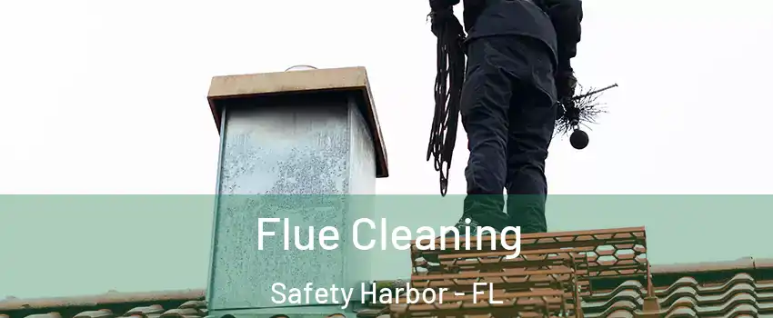  Flue Cleaning Safety Harbor - FL