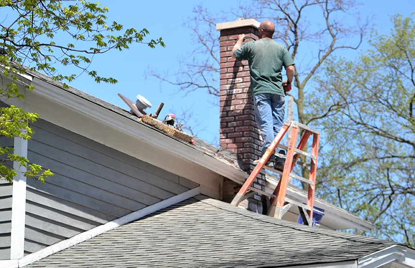Chimney & Fireplace Inspections Services in Safety Harbor, FL