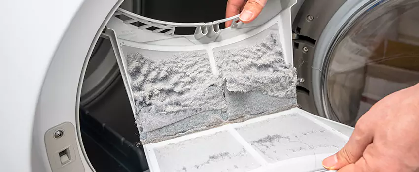 Best Dryer Lint Removal Company in Safety Harbor, Florida
