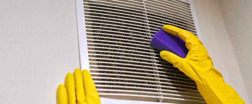 Vent Cleaning Company in Safety Harbor, FL
