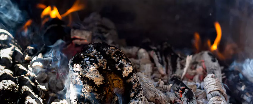 Creosote Removal Experts in Safety Harbor, FL