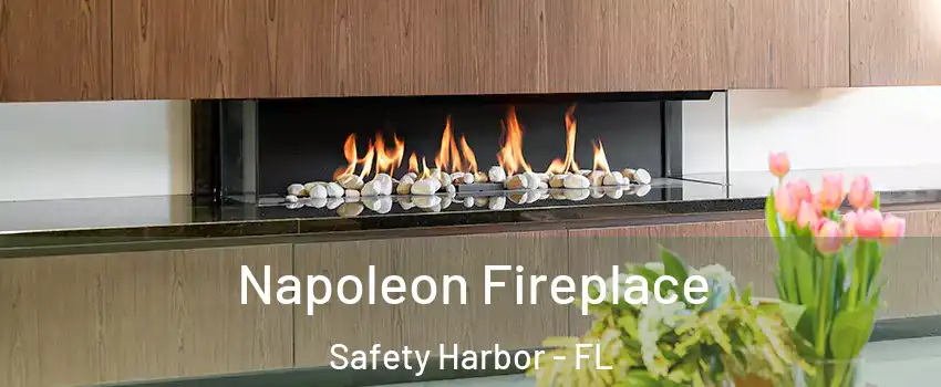  Napoleon Fireplace Safety Harbor - FL