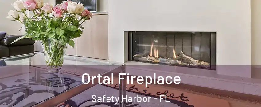  Ortal Fireplace Safety Harbor - FL